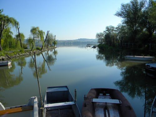 IL LAGO DI CHIUSI, LA CACCIA E I PROBLEMI AMBIENTALI. COME EVITARE CONFLITTUALITA’ E DANNI IRREPARABILI