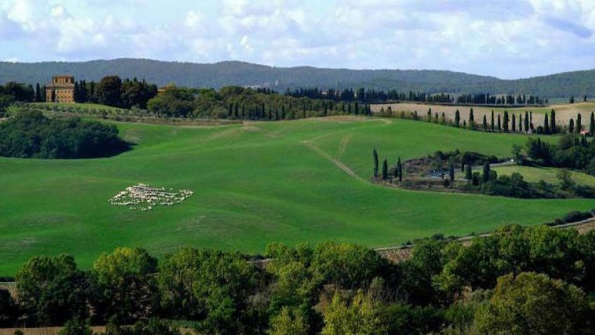 SUVIGNANO. TUTTO PRONTO PER LA MANIFESTAZIONE DI DOMENICA.