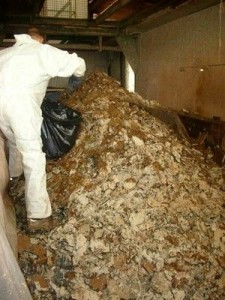 PRELIEVO BIOECOLOGIA