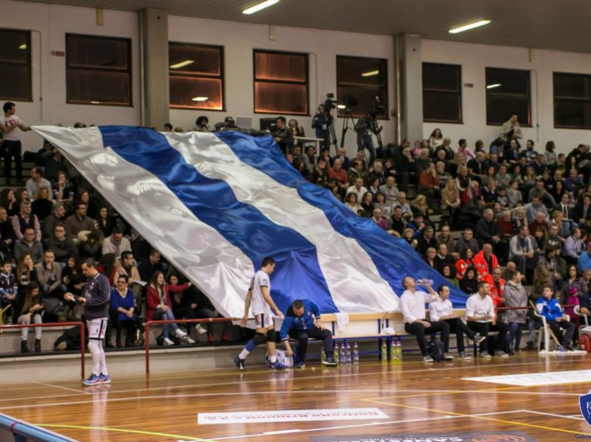 NUOVO PALASPORT, LA PRIMAVERA PRECISA IL SUO PENSIERO