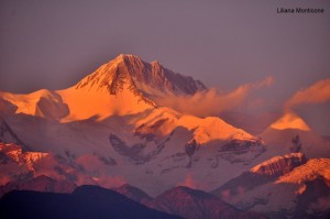 alba nepal