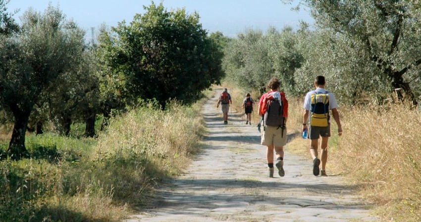 ETRURIA MERIDIONALE: SI PUO’ PROMUOVERE IL TURISMO INVESTENDO QUATTRO SOLDI?