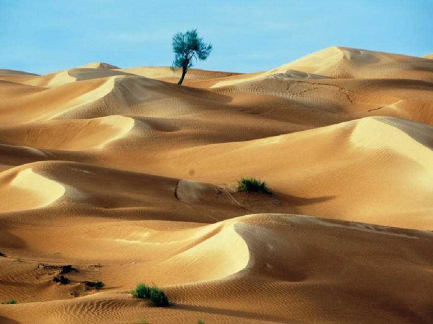 CHIUSI, A LATITARE NON E’ SOLO LA POLITICA. ECCO PERCHE’ IL DESERTO AVANZA