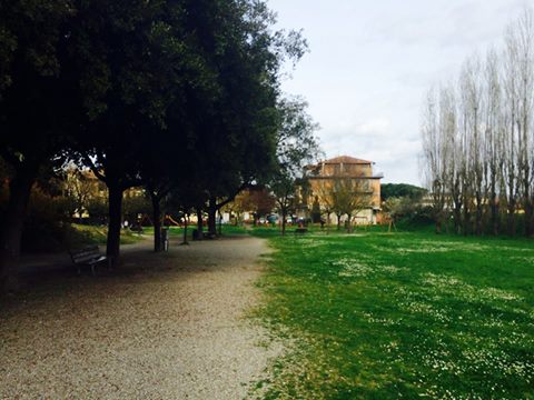 CHIUSI, IL LARS ROCK FEST CAMBIA LOCATION. E QUEL PRATO EVOCA RICORDI…