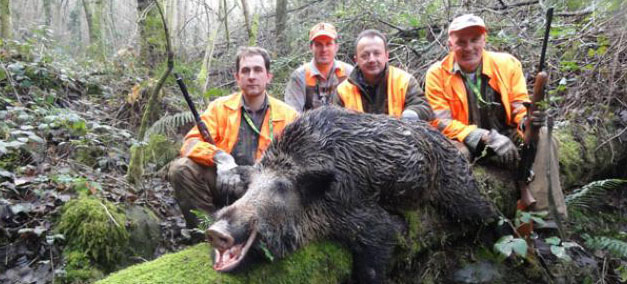 LA GUERRA DEI (E SUI) CINGHIALI: BETTOLLINI CONTRO LA PROVINCIA, I 5 STELLE CONTRO BETTOLLINI