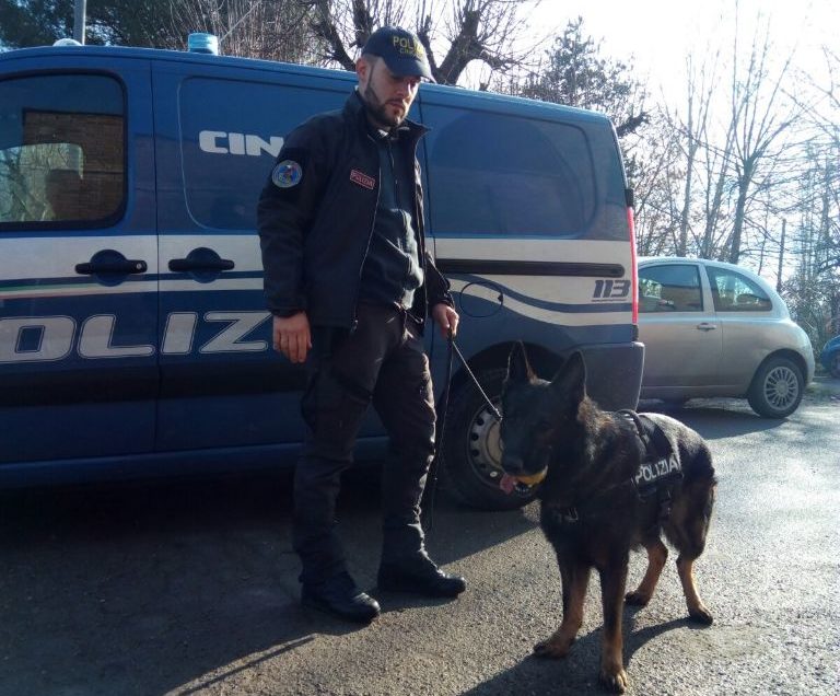 CANI ANTIDROGA NELLE SCUOLE DI CHIUSI. MA I LUOGHI DI SPACCIO E CONSUMO SONO ALTRI