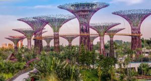 Singapore supertrees 1