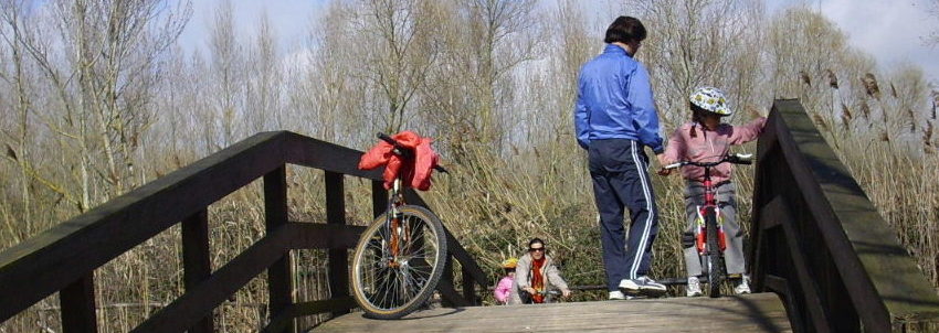 Castiglione del Lago: 800 mila euro per rifare la pista ciclabile finita sott’acqua… Ma c’è chi dice no: meglio cambiare percorso!