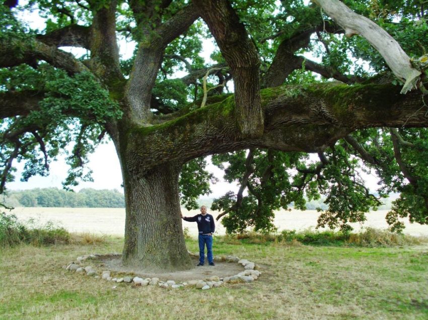 LA QUERCIA DELLE CHECCHE DIVENTA IL PRIMO “MONUMENTO VERDE” (E VIVO) D’ITALIA… QUANDO LA MOBILITAZIONE PAGA