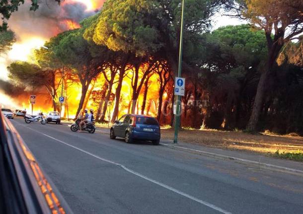 DOMENICA DI FUOCO SULLE SPIAGGE DEL ‘MARE NOSTRUM’: INCENDI A GROSSETO, CAPALBIO E SULL’AMIATA