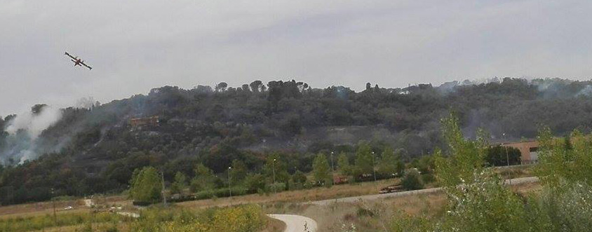 VASTO INCENDIO SULLA COLLINA DE LE COSTE NEI PRESSI DI MOIANO. DANNI INGENTI, CANADAIR IN AZIONE