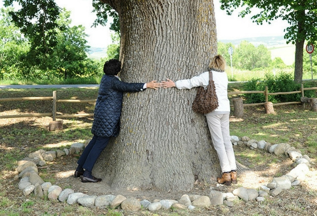 NASCE “OPERA VAL D’ORCIA”. IL COMITATO PER LA QUERCIA DELLE CHECCHE ALLARGA GLI ORIZZONTI E SI TRASFORMA IN ONLUS