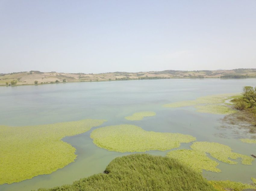 CHIUSI: SICCITA’ E CALDO, IL LAGO IN SOFFERENZA MA L’EROGAZIONE DELL’ACQUA NON E’ A RISCHIO. PER ORA