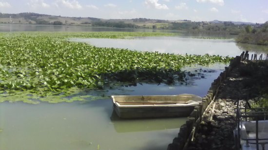 CHIUSI, ECCO QUANTO E’ PROFONDO IL LAGO