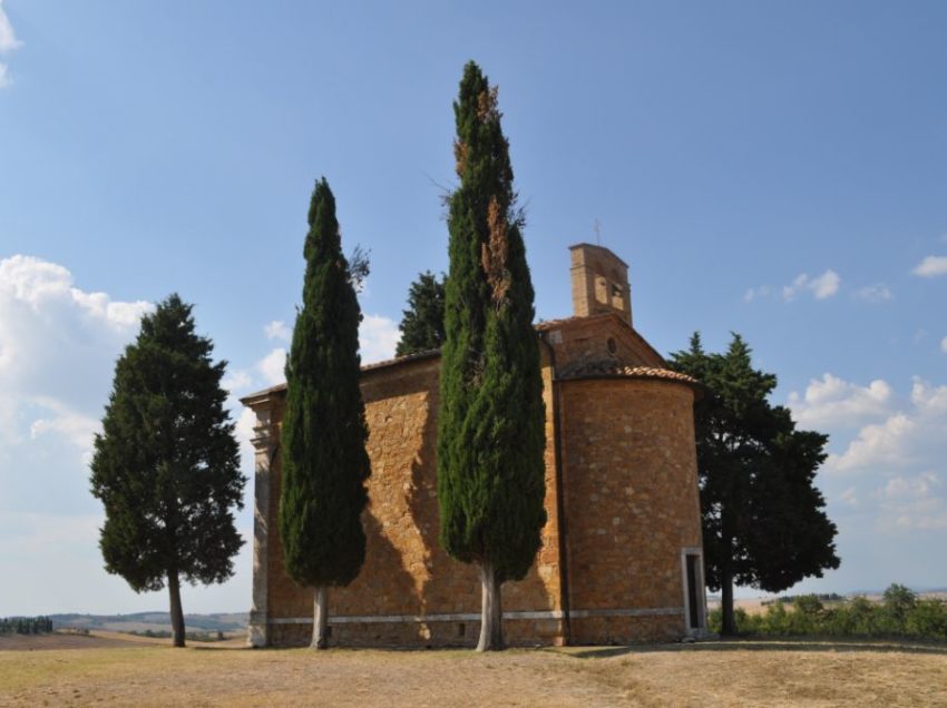 I CIPRESSI DELLA VALDORCIA MUOIONO, SERVE INTERVENTO PER SALVARE IL PAESAGGIO