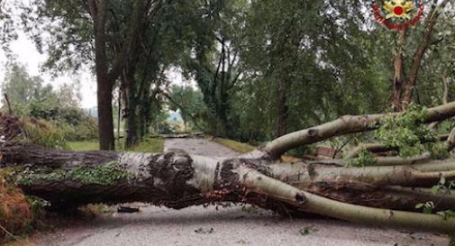 MALTEMPO, CADE UN TRALICCIO: CHIUSA LA STRADA 146 TRA CHIUSI E CHIANCIANO