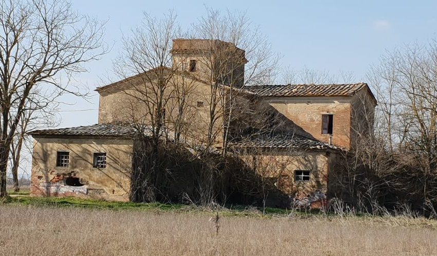 LE “LEOPOLDINE DELLA VALDICHIANA”, QUALCOSA SI MUOVE PER SALVARLE