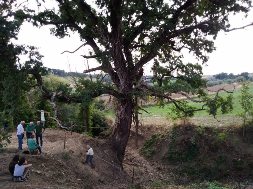 UNA DOMENICA IN SETTEMBRE… A SPASSO SULL’ANTICA VIA ROMEA GERMANICA TRA I LAGHI DI CHIUSI E TRASIMENO