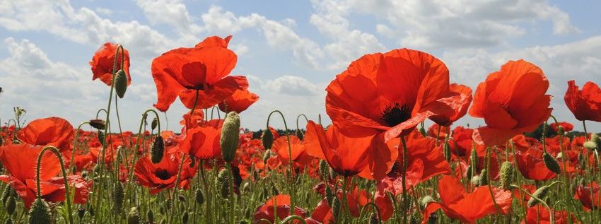 25 APRILE, BELLA CIAO DA TUTTE LE FINESTRE!