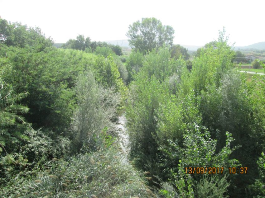 MANUTENZIONE SCARSA SUL FIUME NESTORE, PIEVAIOLA A RISCHIO ESONDAZIONI