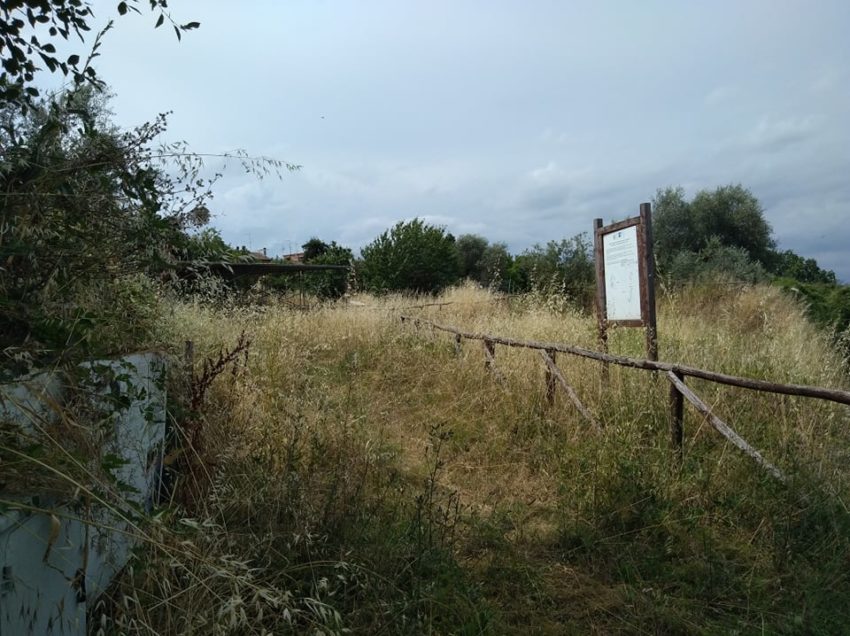 CHIUSI, QUELLA DOMUS ROMANA FAGOCITATA DALLE ERBACCE