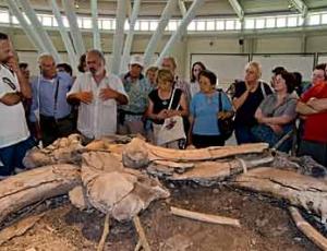 PIETRAFITTA, PROBLEMI NELLA GESTIONE DEL MUSEO DEI MAMMUTH… CHE ADESSO DIVENTERA’ STATALE