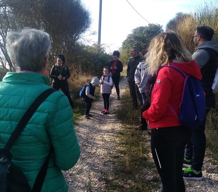 IL PIACERE DI CAMMINARE TRA GLI ULIVI E DI ASSAPORARE L’OLIO NUOVO