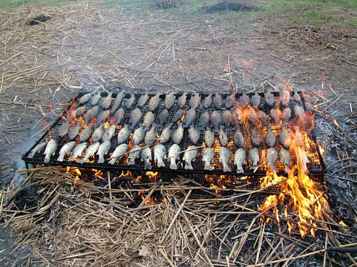 CHIUSI RISCHIA DI PERDERE IL BRUSTICO, IL PIATTO PIU’ TIPICO DEL TERRITORIO. ECCO PERCHE’