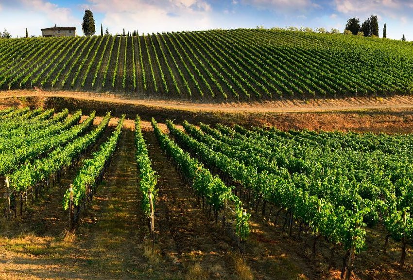 TOSCANA: IL BIODIGESTORE PIU’ GRANDE D’ITALIA IN MEZZO ALLE VIGNE DEL CHIANTI