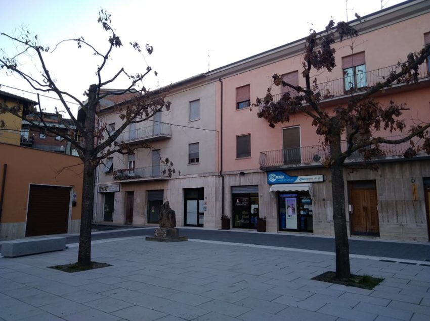 CHIUSI SCALO: CHE  FINE FARANNO GLI ALBERI DI PIAZZA GARIBALDI?