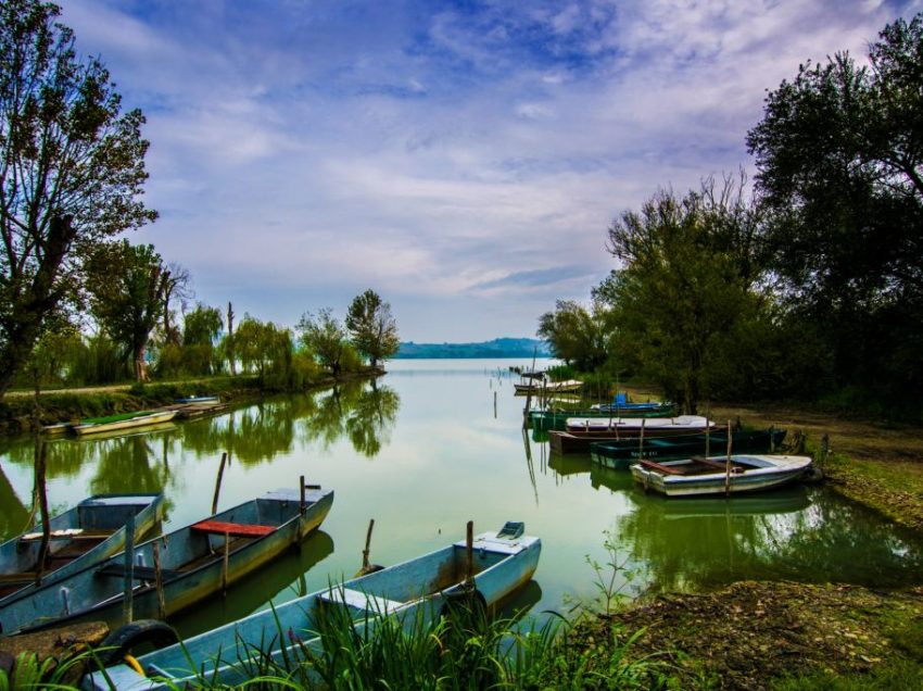 CHIUSI, PARTE UNO STUDIO SULLA SALUTE DI ACQUA, FLORA E FAUNA DEL LAGO