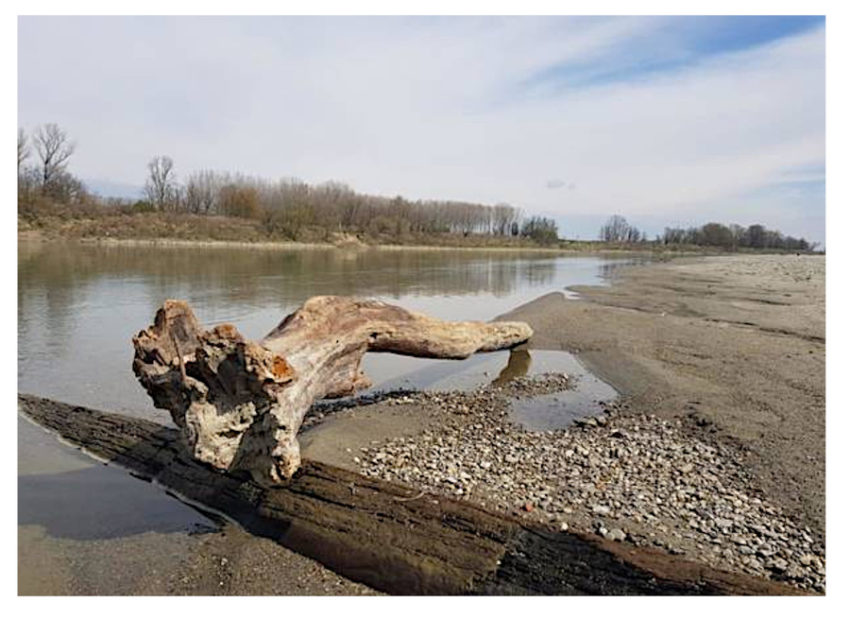 I LAGHI DI CHIUSI E MONTEPULCIANO SOTTO IL LIVELLO DI GUARDIA. SONNINI VIETA OGNI TIPO DI ATTINGIMENTO. CHIUSI SCALO INVASA DALLA PUZZA