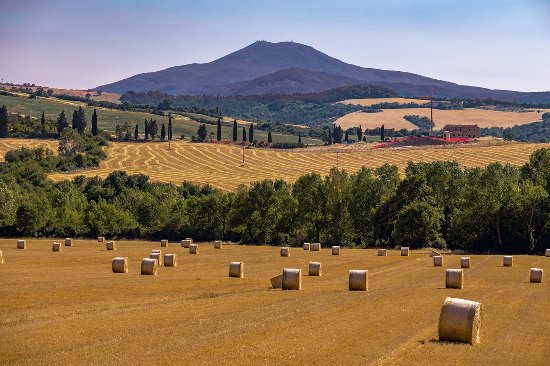 CENTRALE GEOTERMICA, CONTINUANO LE LETTERE APERTE A ENRICO LETTA: ANCHE ITALIA NOSTRA SCRIVE AL DEPUTATO SENESE E SEGRETARIO PD