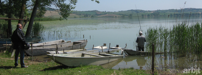 CHIUSI, ORDINANZA DEL SINDACO: VIETATO MANGIARE IL PESCE DEL LAGO