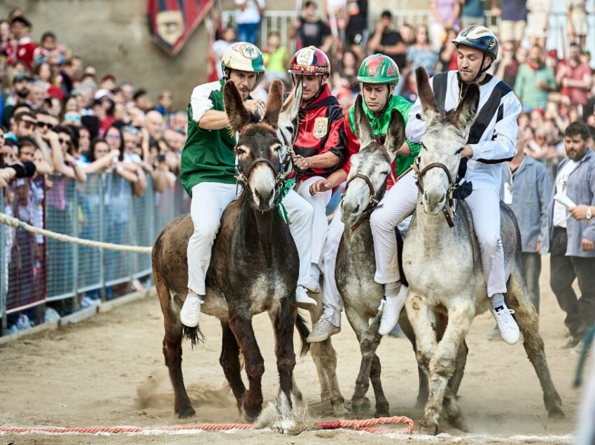 TORRITA, TEMPO DI PALIO: SOMARI IN PISTA DOMENICA 23