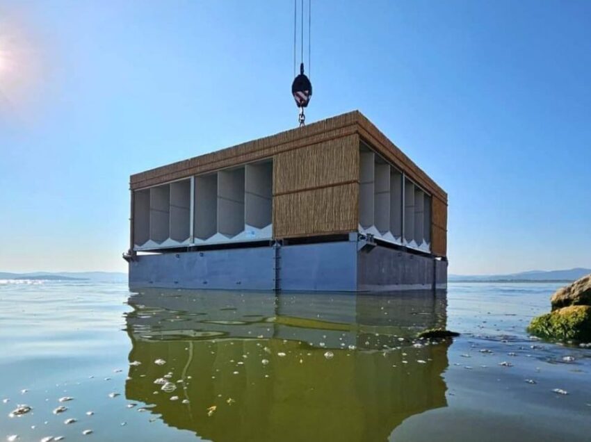 SPUNTA UNA NUOVA ISOLA SUL TRASIMENO: SERVIRA’ A CATTURARE I FASTIDIOSISSIMI CHIRONOMIDI