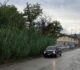 VALNESTORE, FIUMI E TORRENTI PIENI DI ERBACCE: SENZA MANUTENZIONE SALE IL RISCHIO ALLUVIONI. SERVE PIU’ CURA